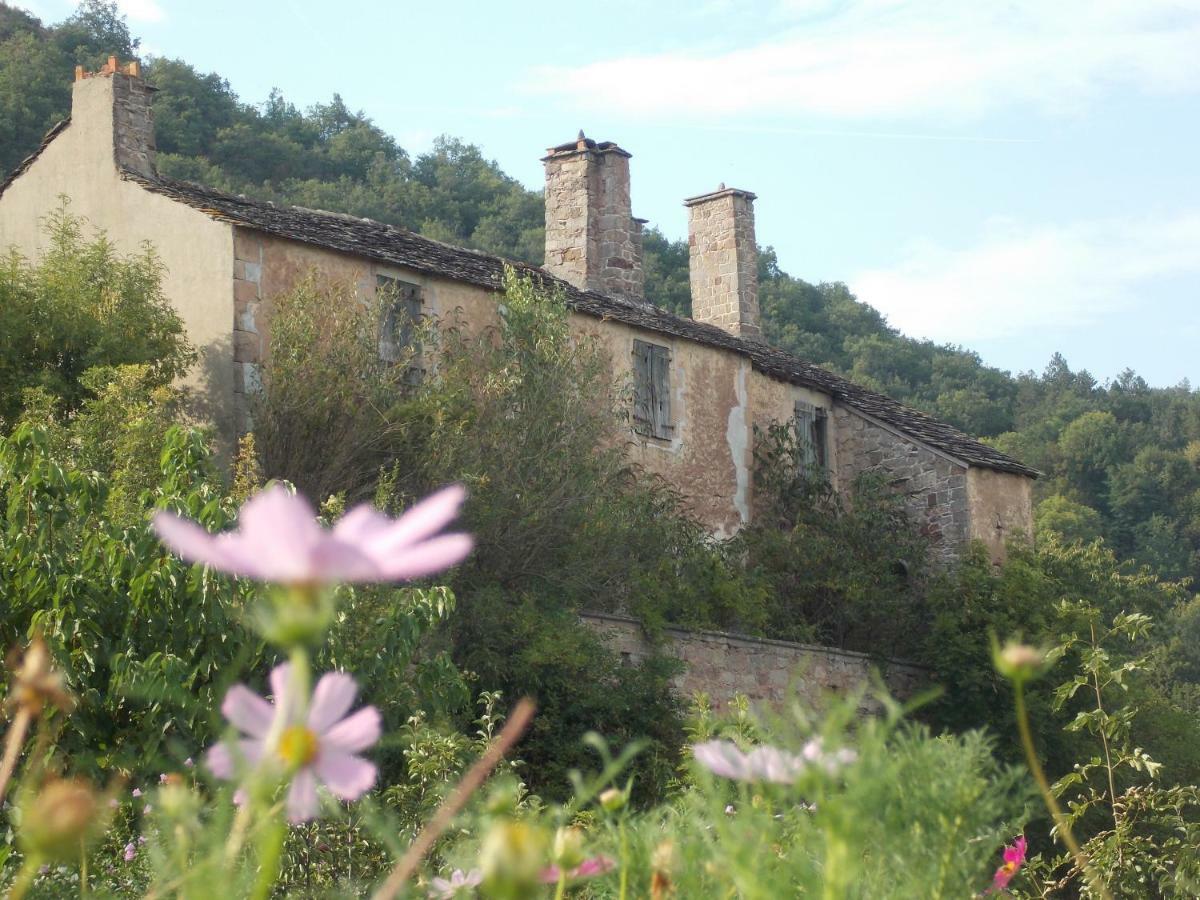 Le Cintrium Bed & Breakfast Viala-du-Tarn ภายนอก รูปภาพ