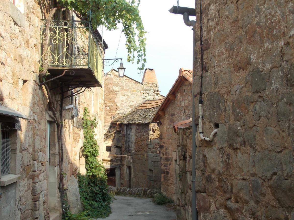 Le Cintrium Bed & Breakfast Viala-du-Tarn ภายนอก รูปภาพ