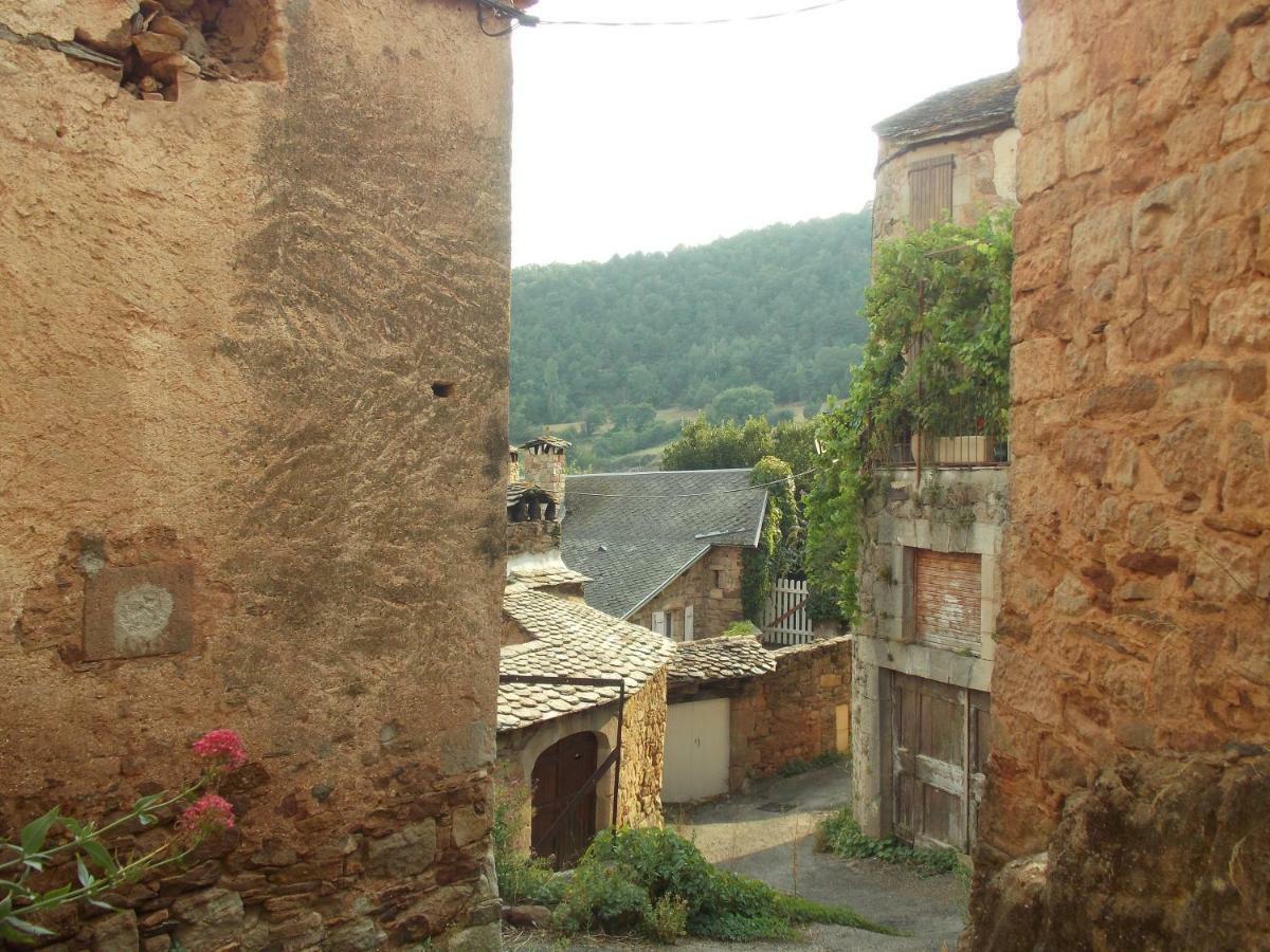 Le Cintrium Bed & Breakfast Viala-du-Tarn ภายนอก รูปภาพ