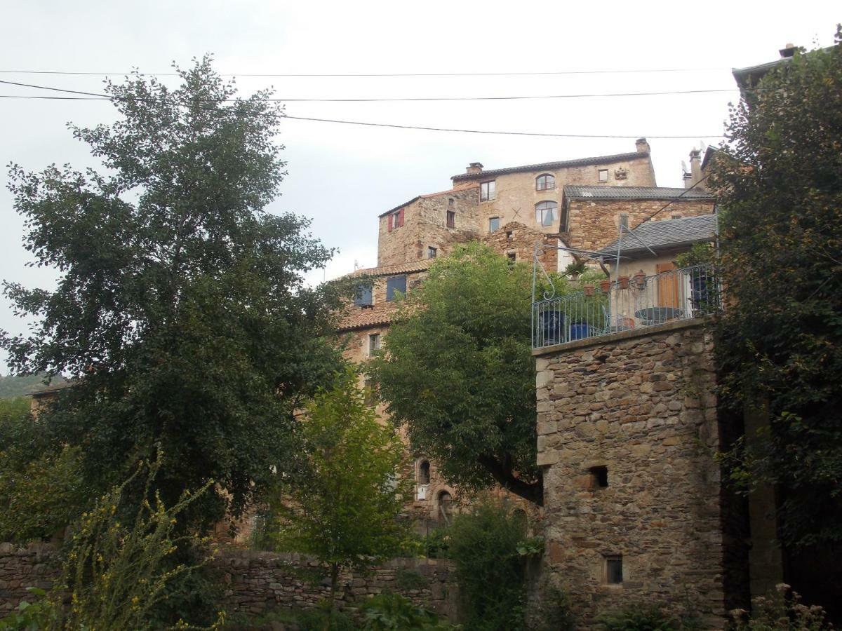 Le Cintrium Bed & Breakfast Viala-du-Tarn ภายนอก รูปภาพ